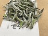 22年磻溪仙蒲村荒野白毫银针（林下荒野·直面茶） 商品缩略图2