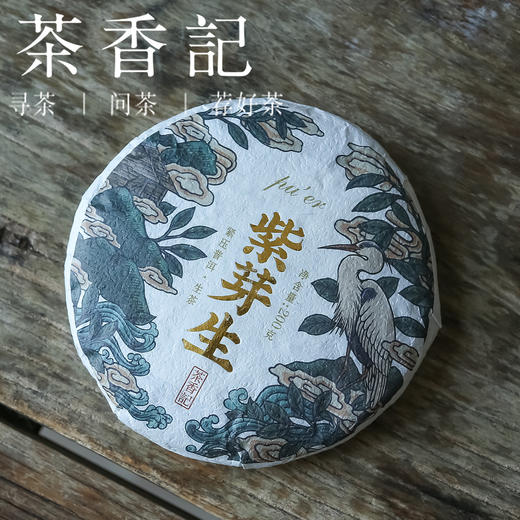 茶香记 紫芽生普洱生茶021 富含花青素 鲜爽饱满 回甘迅速 临沧勐库大叶种 商品图0