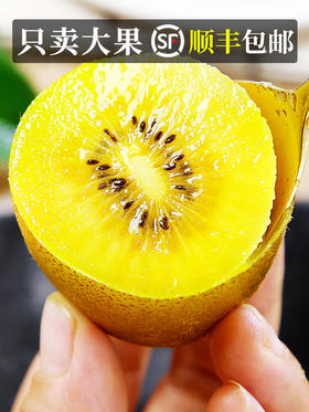 【 72小时内发货】黄心猕猴桃 新鲜应当季水果 奇异果大果狝泥弥猴桃 rs08