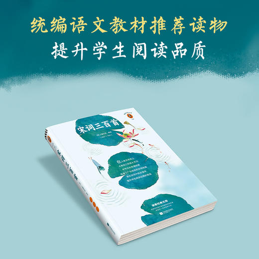 宋词三百首 商品图2