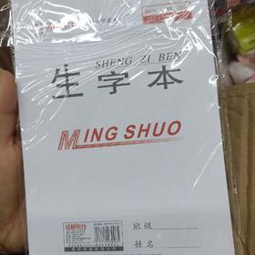 铭硕风行小生字本