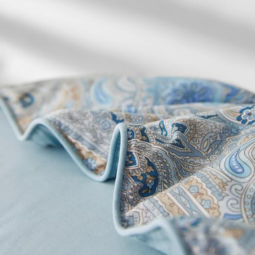 匈牙利进口95%可水洗白鹅绒被(夏被/春秋被/冬被) 奥黛丽 商品图4