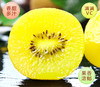 【 72小时内发货】黄心猕猴桃 新鲜应当季水果 奇异果大果狝泥弥猴桃 rs08 商品缩略图3