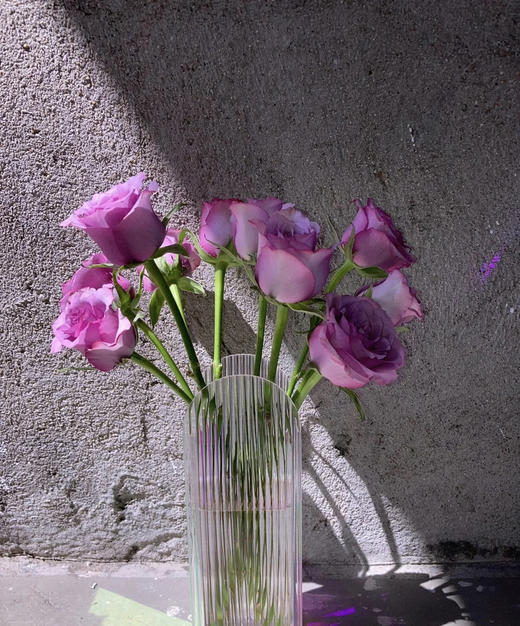 【昆明玫瑰】紫霞仙子 20支/扎  A级 商品图3