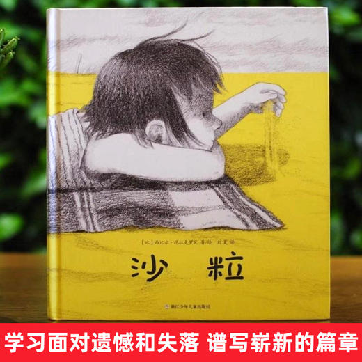 沙粒 精装正版 商品图1