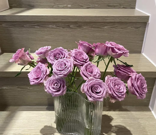 【昆明玫瑰】紫霞仙子 20支/扎  A级 商品图4