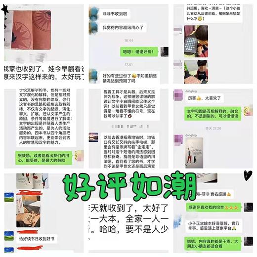 《汉字中国》九册终于聚齐！老少皆宜，一套可以把脑子叫醒的汉字书，给孩子和成人看得懂的中国文化 商品图4