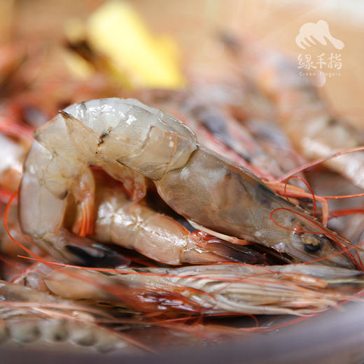 野生东山岛海虾| 合作生产 * Wild Dongshan Island Shrimps | Coproduction 商品图8