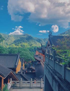 #杭州#法喜寺最佳位置