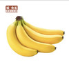 【GYZYDR】国产香蕉500g 商品缩略图1