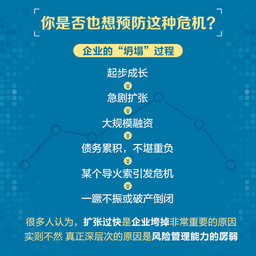 企业财务风险管理 风险管控方法与案例分析 企业内*控制财务风险预警*际管理会计师组织IMA出品 商品图3