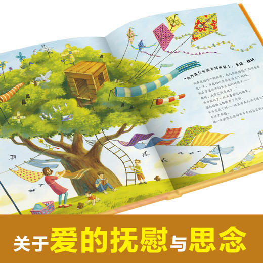 爷爷的zui后一个秘密 商品图4