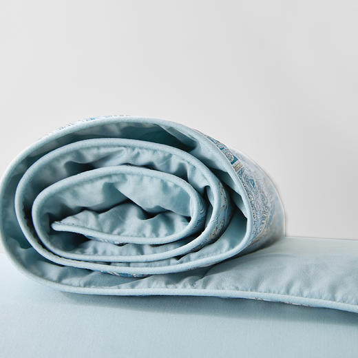 匈牙利进口95%可水洗白鹅绒被(夏被/春秋被/冬被) 奥黛丽 商品图9