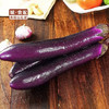 【GYZYDR】紫茄子500g/份 商品缩略图0