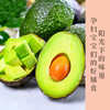 云南牛油果     香滑似奶酪颊齿间尽留淡淡脂香 准妈妈、宝宝辅食、爱美人士必备品 森林奶油，营养丰富 商品缩略图0
