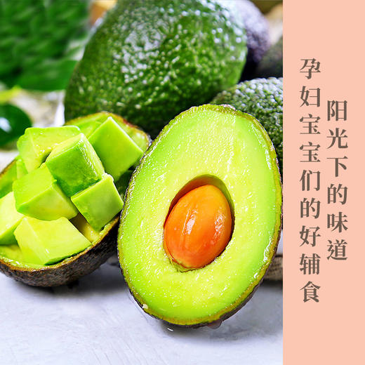 云南牛油果     香滑似奶酪颊齿间尽留淡淡脂香 准妈妈、宝宝辅食、爱美人士必备品 森林奶油，营养丰富 商品图0