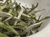 22年磻溪仙蒲村荒野白毫银针（林下荒野·直面茶） 商品缩略图4