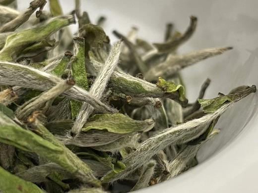 22年磻溪仙蒲村荒野白毫银针（林下荒野·直面茶） 商品图4