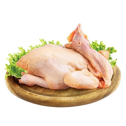 220天清远玉米鸡 商品图0