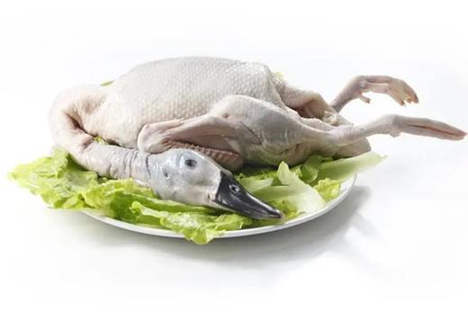 清远青头鸭 商品图0