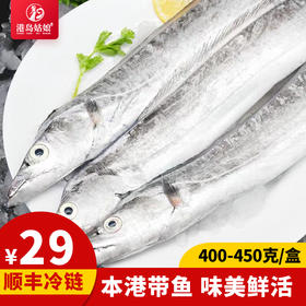 港岛姑娘 本港带鱼精品刀鱼味美鲜 400-450g/盒3-4条活冻