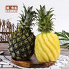 【GYZYDR】菠萝250g左右/个 商品缩略图1