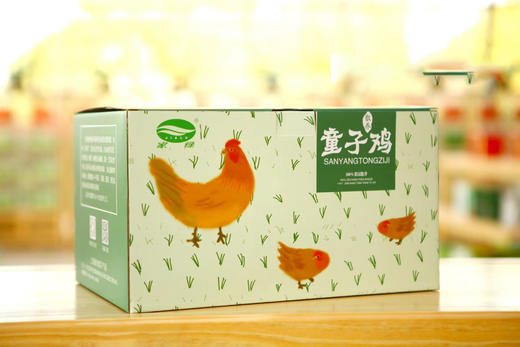 家绿童子鸡一只 2斤左右 商品图0
