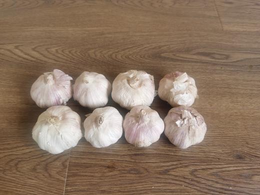 大蒜1斤 商品图0