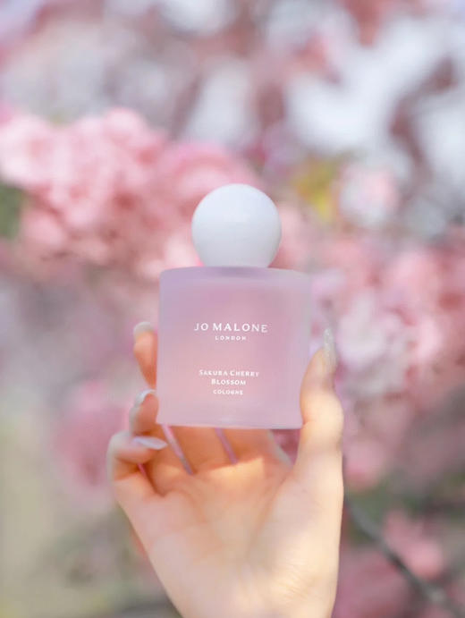 祖玛珑-樱花限定2022 商品图1