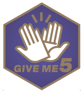 【赠品勿拍】5周年实体徽章