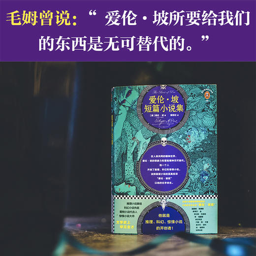 爱伦·坡短篇小说集 商品图7