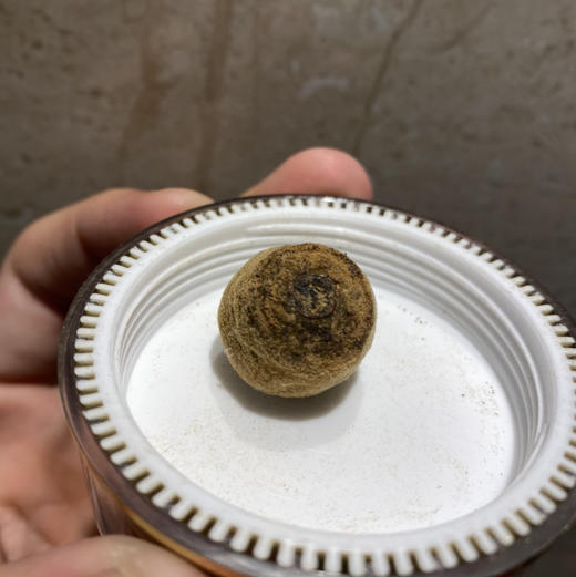 化州化橘红罐装 商品图5