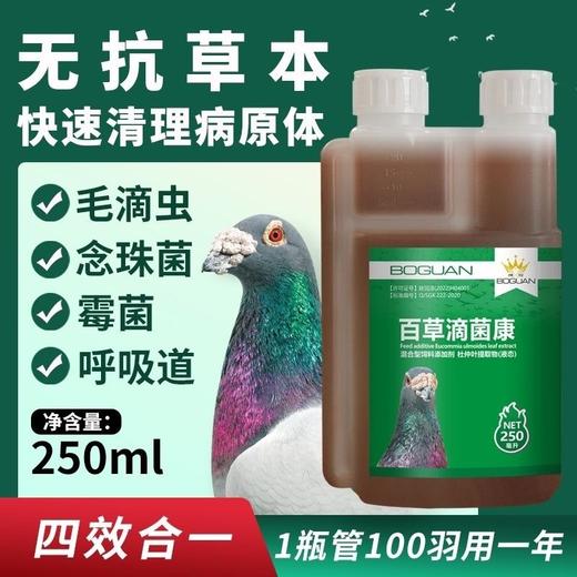 【百草滴菌康】250毫升（西安搏冠） 商品图0