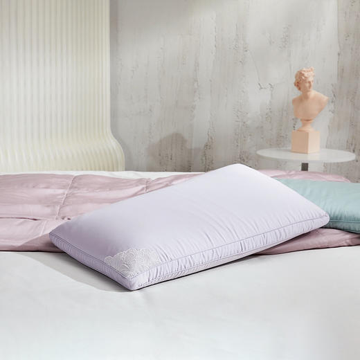 【6F】罗莱 玻尿酸蚕丝乳胶枕3.0 商品图0