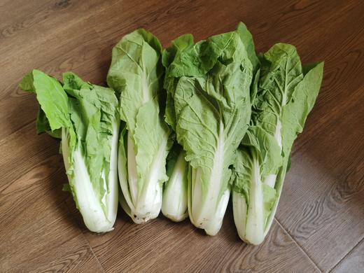 杭白菜2斤 商品图0