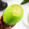 云南牛油果     香滑似奶酪颊齿间尽留淡淡脂香 准妈妈、宝宝辅食、爱美人士必备品 森林奶油，营养丰富 商品缩略图5