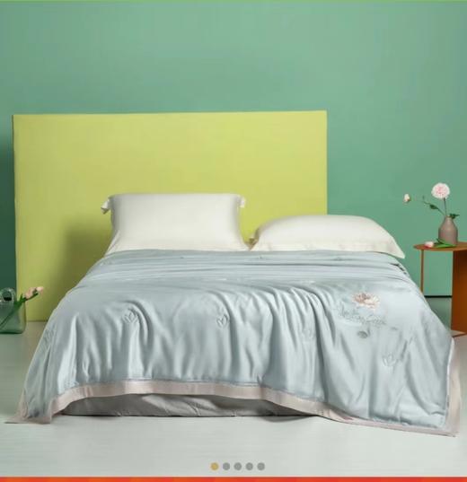 红豆家纺 轻氧天莲夏被2.0*2.3 商品图0