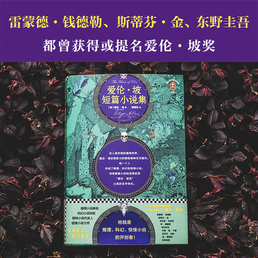 爱伦·坡短篇小说集 商品图6
