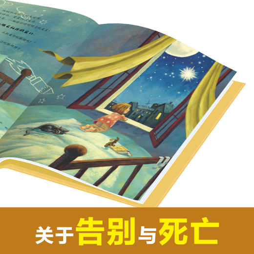 爷爷的zui后一个秘密 商品图3