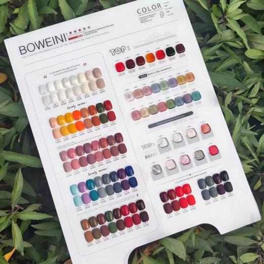 【秒杀价】ins韩风高级轻奢风Bowenini80色 商品图2