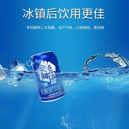 天润奶啤300ml 商品图3