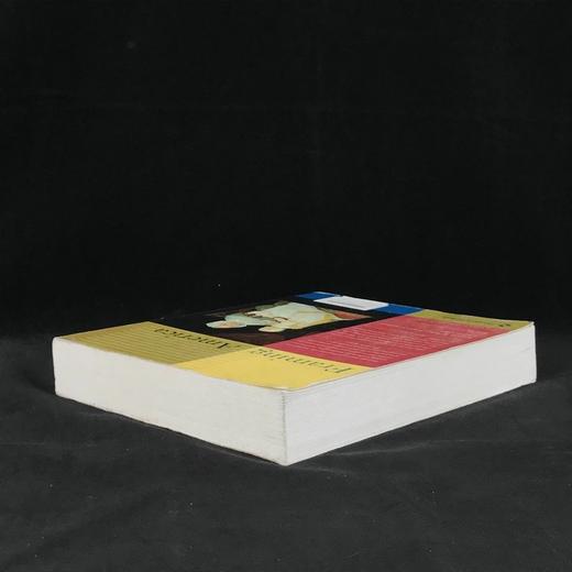 美国艺术社会史 665幅插图（337幅彩色） 平装16开 商品图2