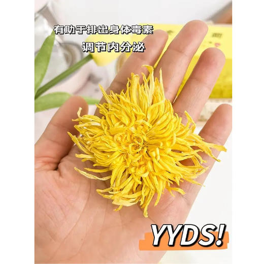 【每日食养】黄山金丝皇菊30朵装*2盒（无手提袋/有手提袋） 商品图4