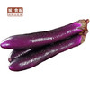 【GYZYDR】紫茄子500g/份 商品缩略图1