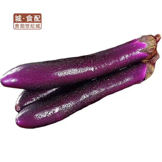 【GYZYDR】紫茄子500g/份 商品图1