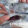 港岛姑娘 本港带鱼精品刀鱼味美鲜 400-450g/盒3-4条活冻 商品缩略图2