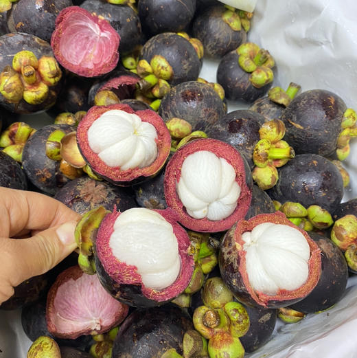 泰国空运山竹 7A大果 商品图1