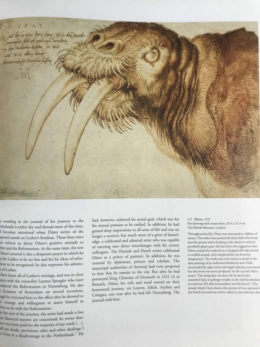 丢勒画集 138幅插图 精装8开 商品图8