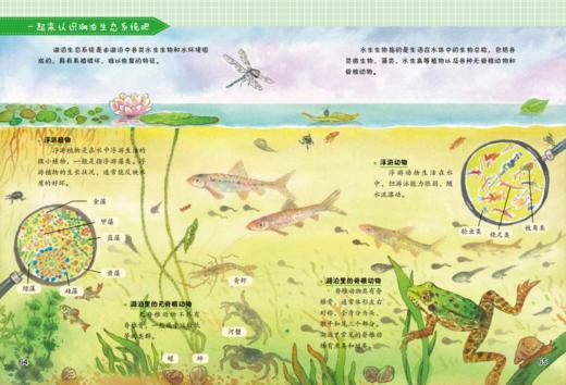 《神奇绿色营》（第二辑共6册） 商品图3