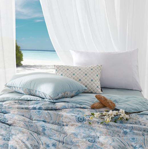 匈牙利进口95%可水洗白鹅绒被(夏被/春秋被/冬被) 奥黛丽 商品图2